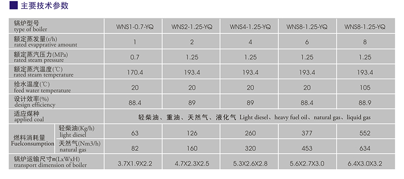 天然气锅炉1